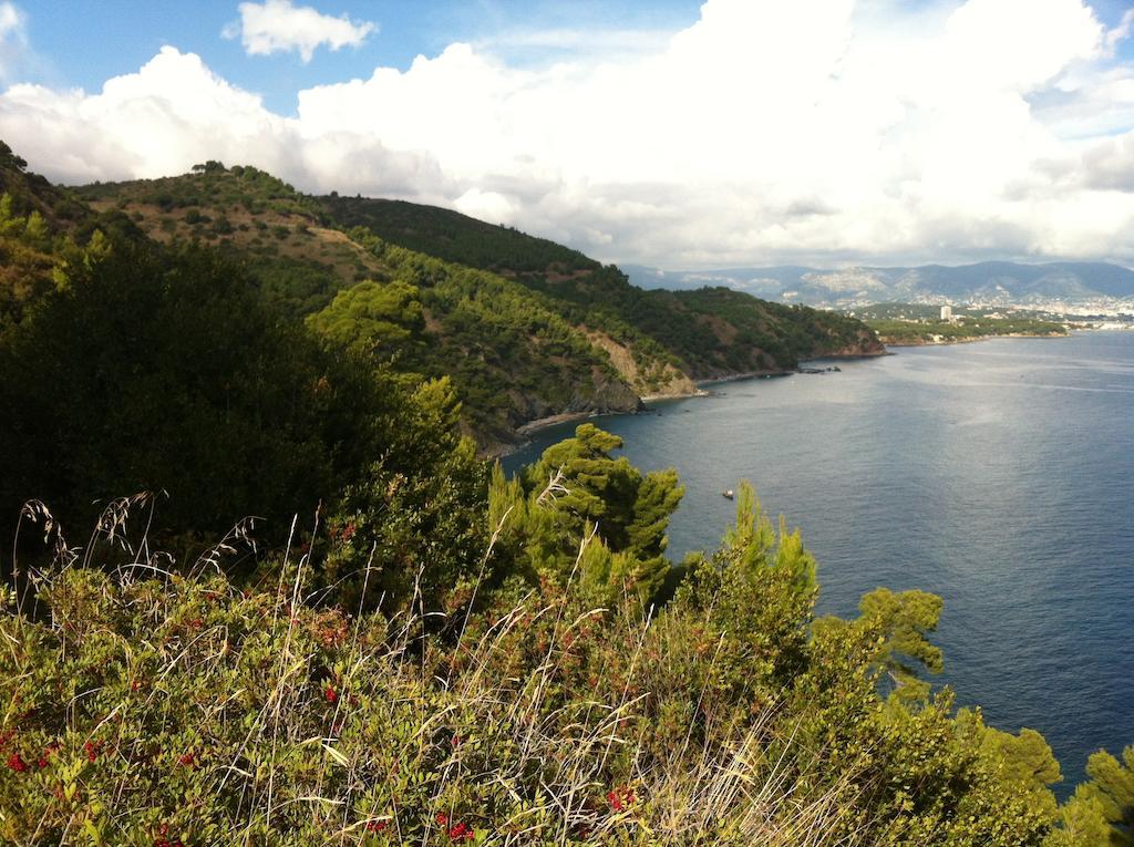 Villa Fabregas La Seyne-sur-Mer Eksteriør bilde